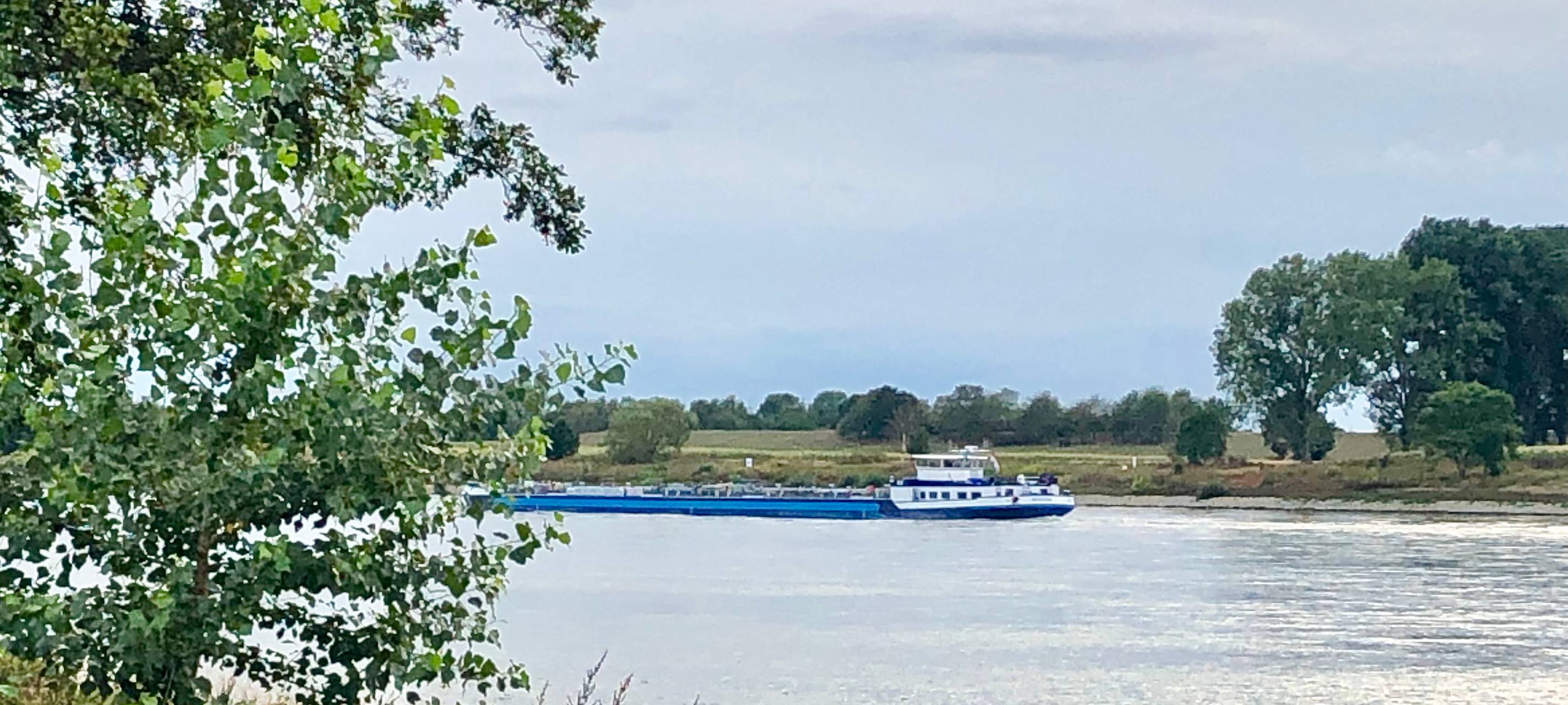 Deutlich weniger Teilnehmer beim Rheincamp