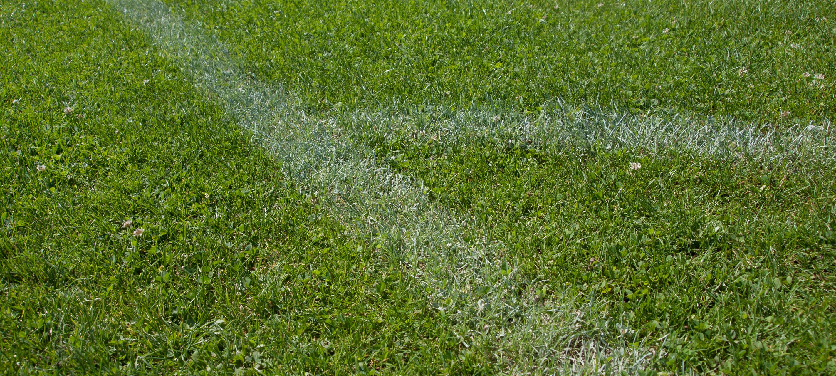 Bayer 04-Trainingszentrum in Monheim abgelehnt