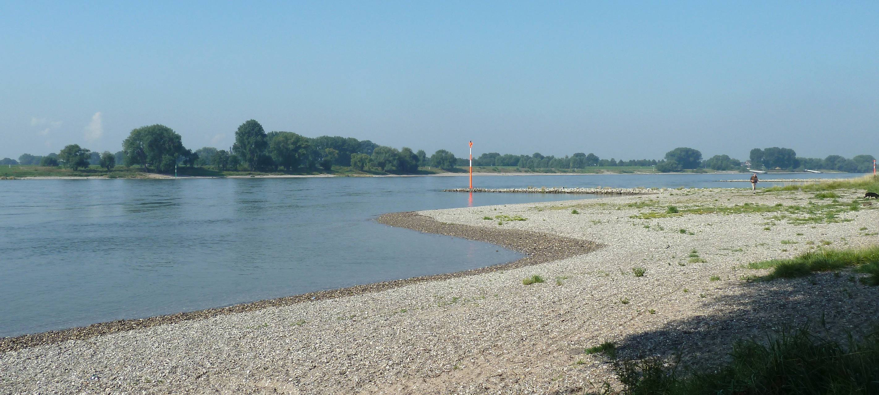 NABU fordert "ökologische Sanierung" des Rheins