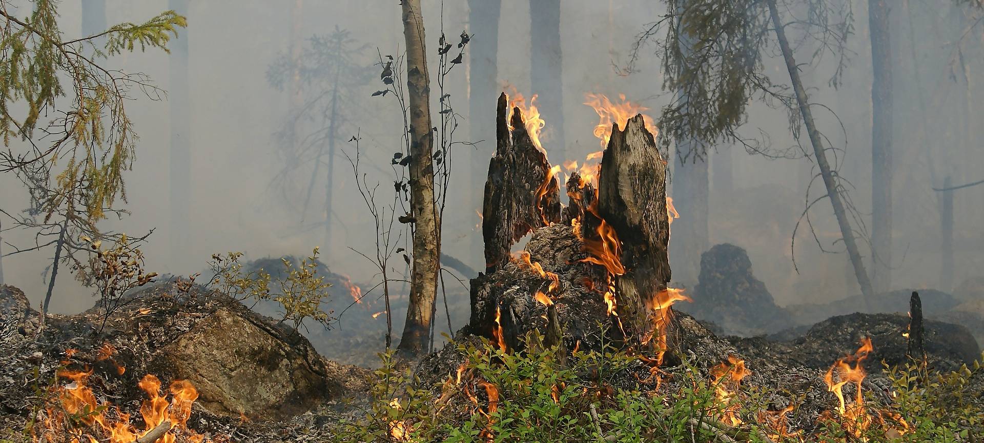 Live Ticker Waldbrand Kreis Düren